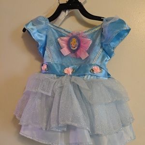 Cinderella costume